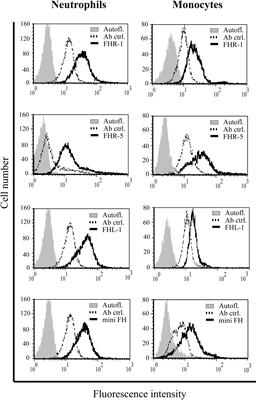 Complement Factor H Family Proteins Modulate Monocyte and Neutrophil Granulocyte Functions